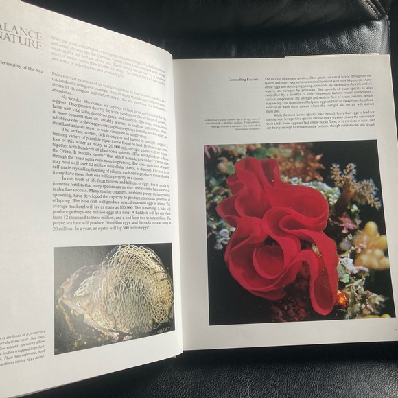 Books (Hardback): The Ocean World by Jacques Cousteau - Picture 10 of 16